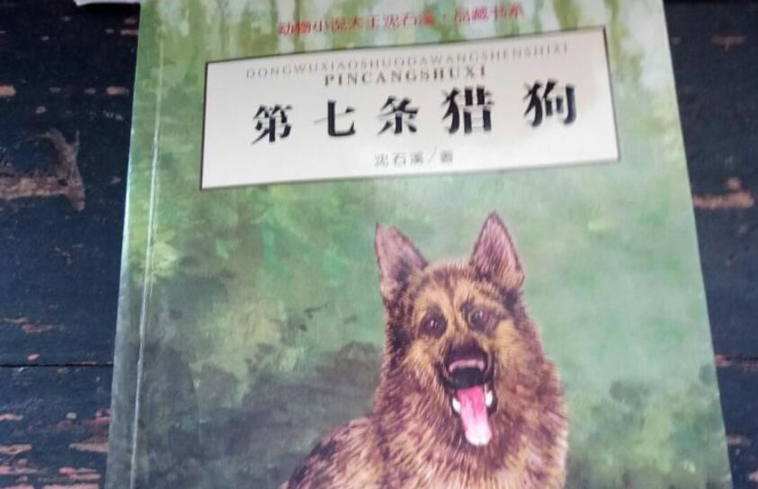 《第七条猎狗》书籍.jpg