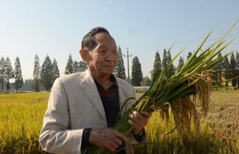 介绍袁隆平.jpg