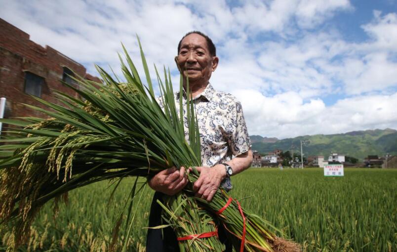 纪念袁隆平.jpg