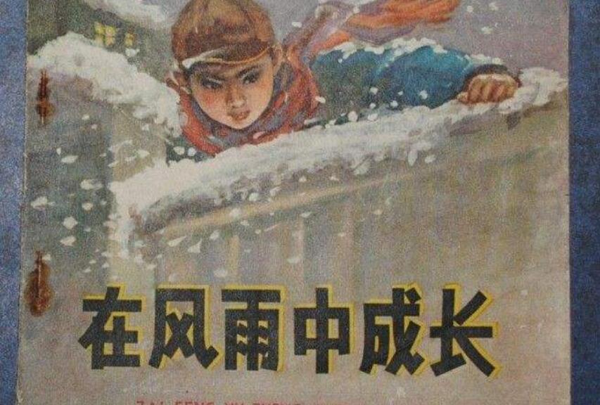 在风雨中成长.jpg