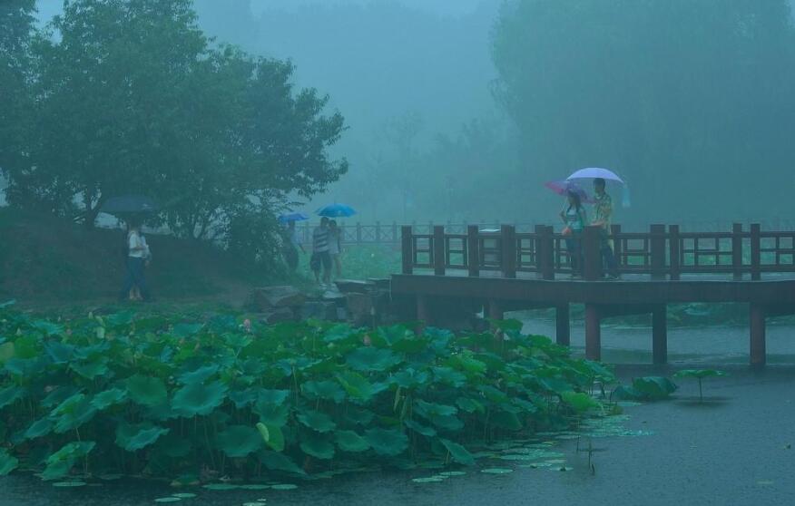 雨中即景.jpg