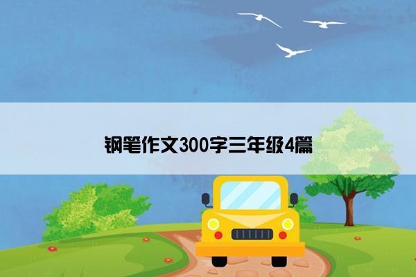 钢笔作文300字三年级4篇