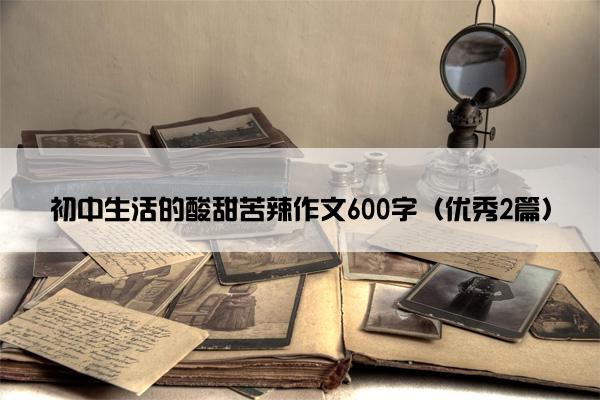 初中生活的酸甜苦辣作文600字（优秀2篇）