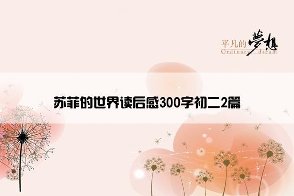 苏菲的世界读后感300字初二2篇