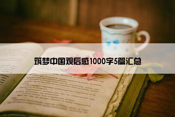 筑梦中国观后感1000字5篇汇总