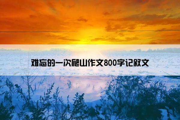 难忘的一次爬山作文800字记叙文