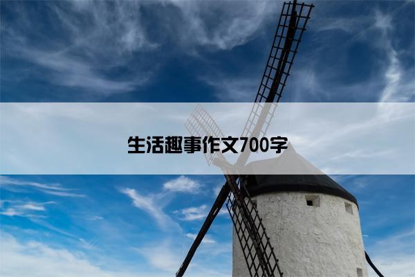 生活趣事作文700字