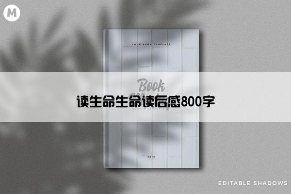 读生命生命读后感800字