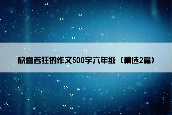 欣喜若狂的作文500字六年级（精选2篇）